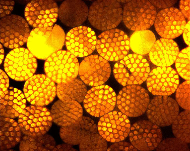 High Performance Polymers Fm Plastics